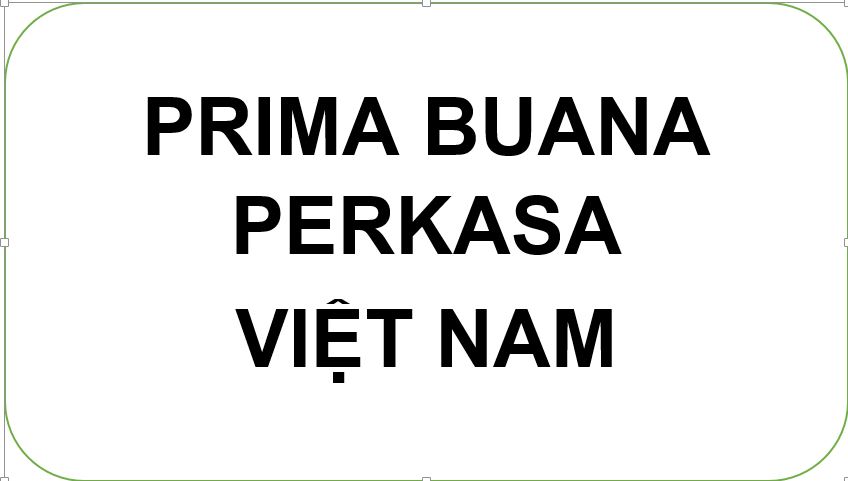 CÔNG TY TNHH PRIMA BUANA PERKASA VIỆT NAM