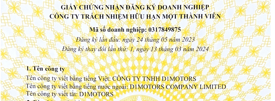 CÔNG TY TNHH D1MOTORS