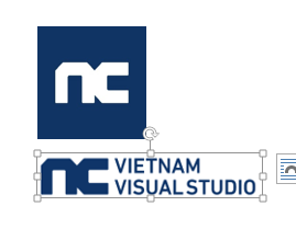 CÔNG TY TNHH NCSOFT VIETNAM VISUAL STUDIO