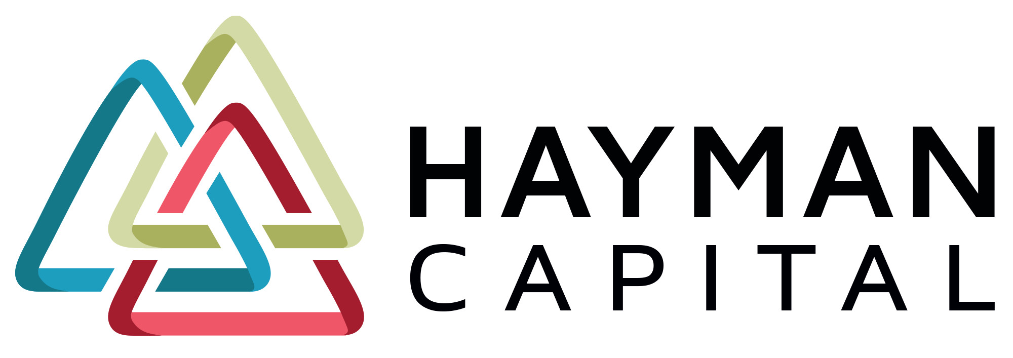 CÔNG TY TNHH HAYMAN CAPITAL VIỆT NAM