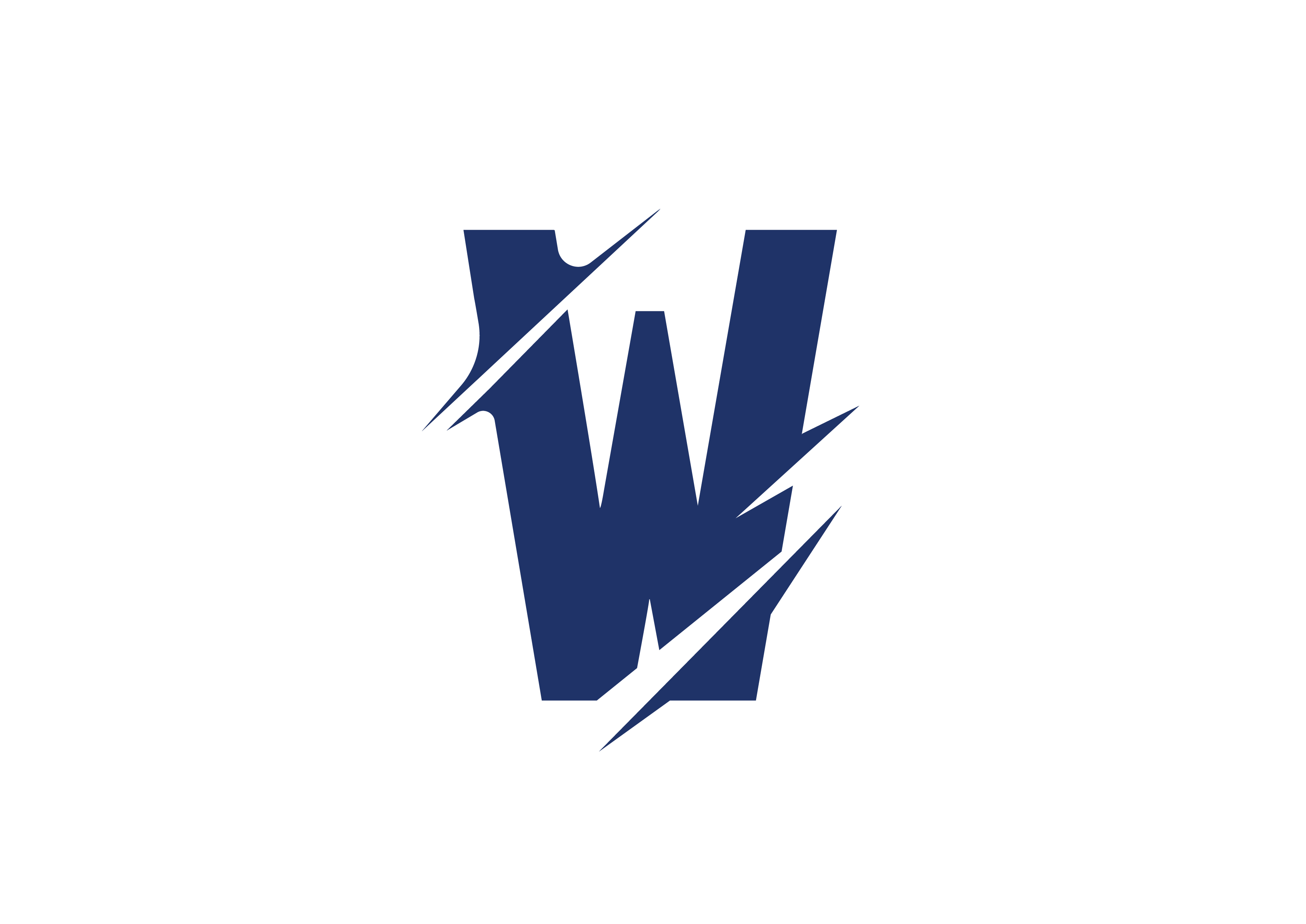 CÔNG TY CỔ PHẦN TEAM WHALES