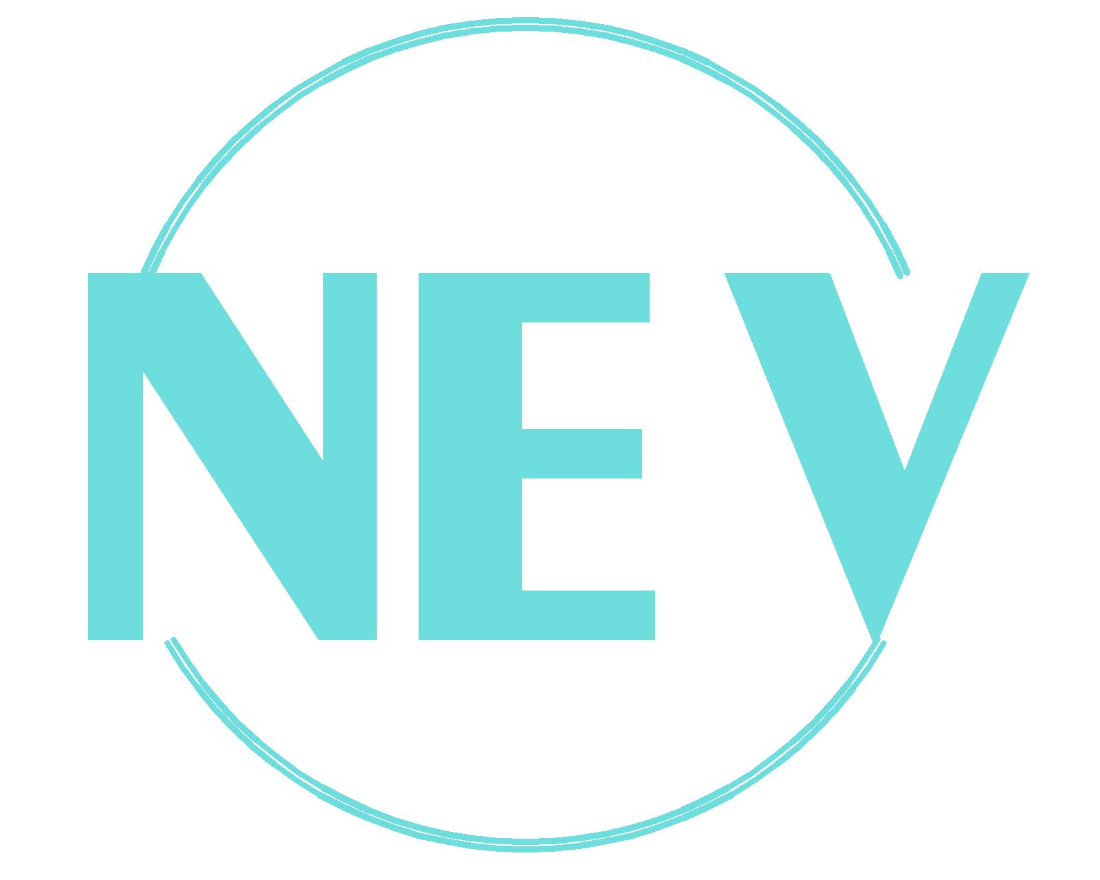 Công Ty Tnhh Nippon Engineering-VN