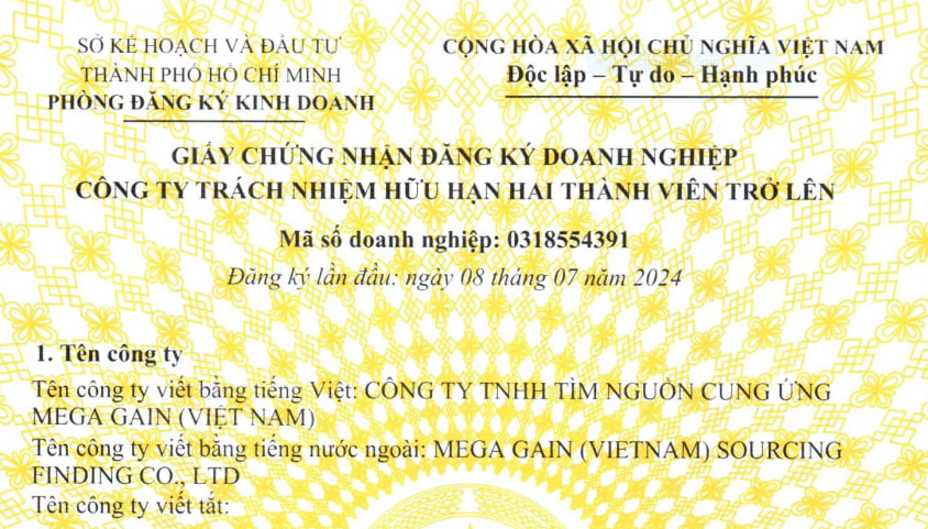 CÔNG TY TNHH TÌM NGUỒN CUNG ỨNG MEGA GAIN (VIỆT NAM)